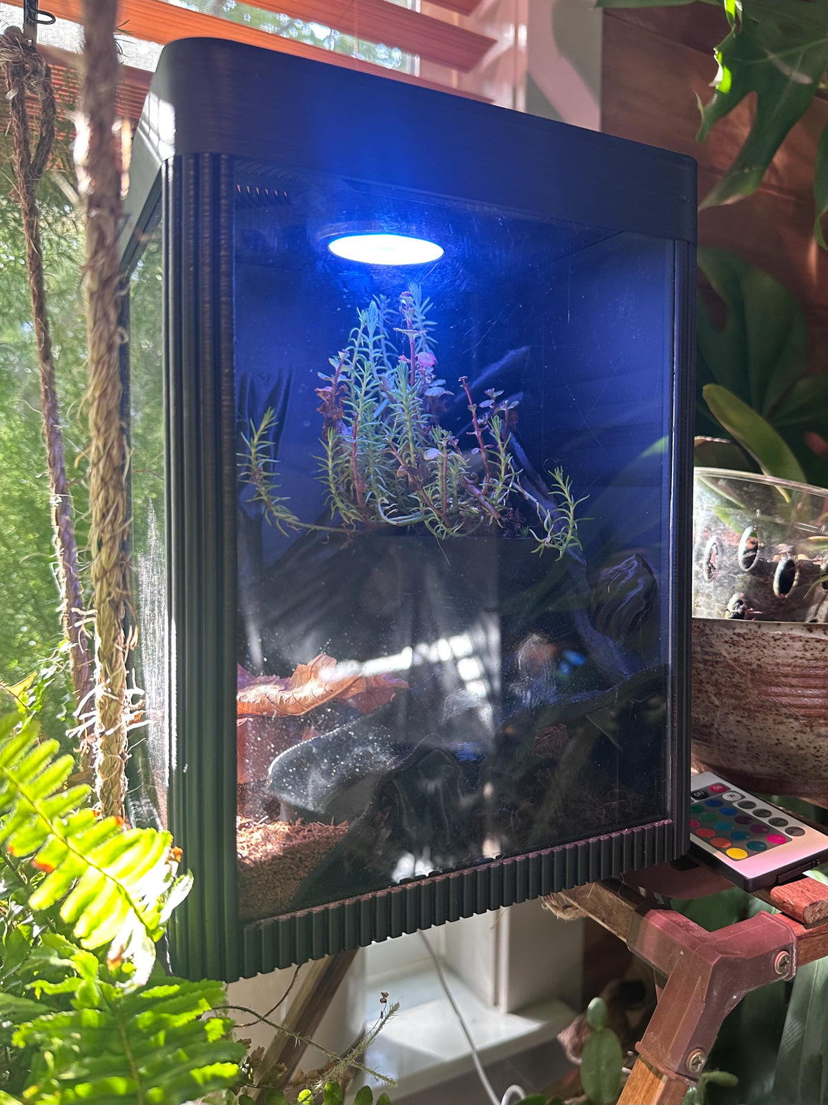 Nano Terrarium Vivarium – All-in-One Micro Habitat with Built-In Sprayer & Light