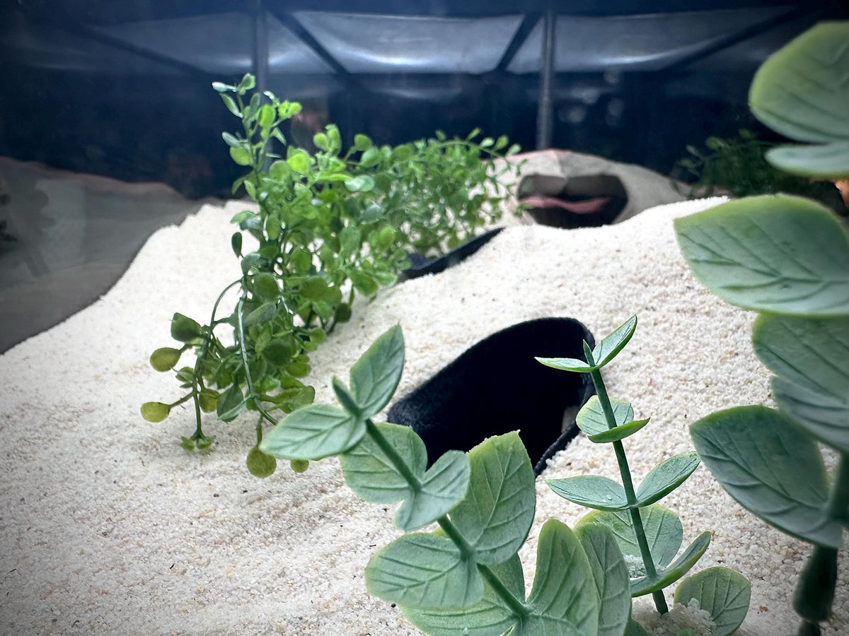 Underground Tunnel Hideout – Aquarium & Terrarium Decor