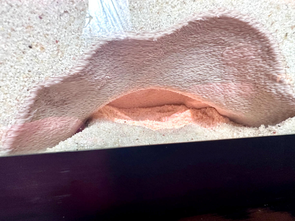 Aquarium  Terrarium Cave Hideout – Decorative Shelter for Fish & Reptiles