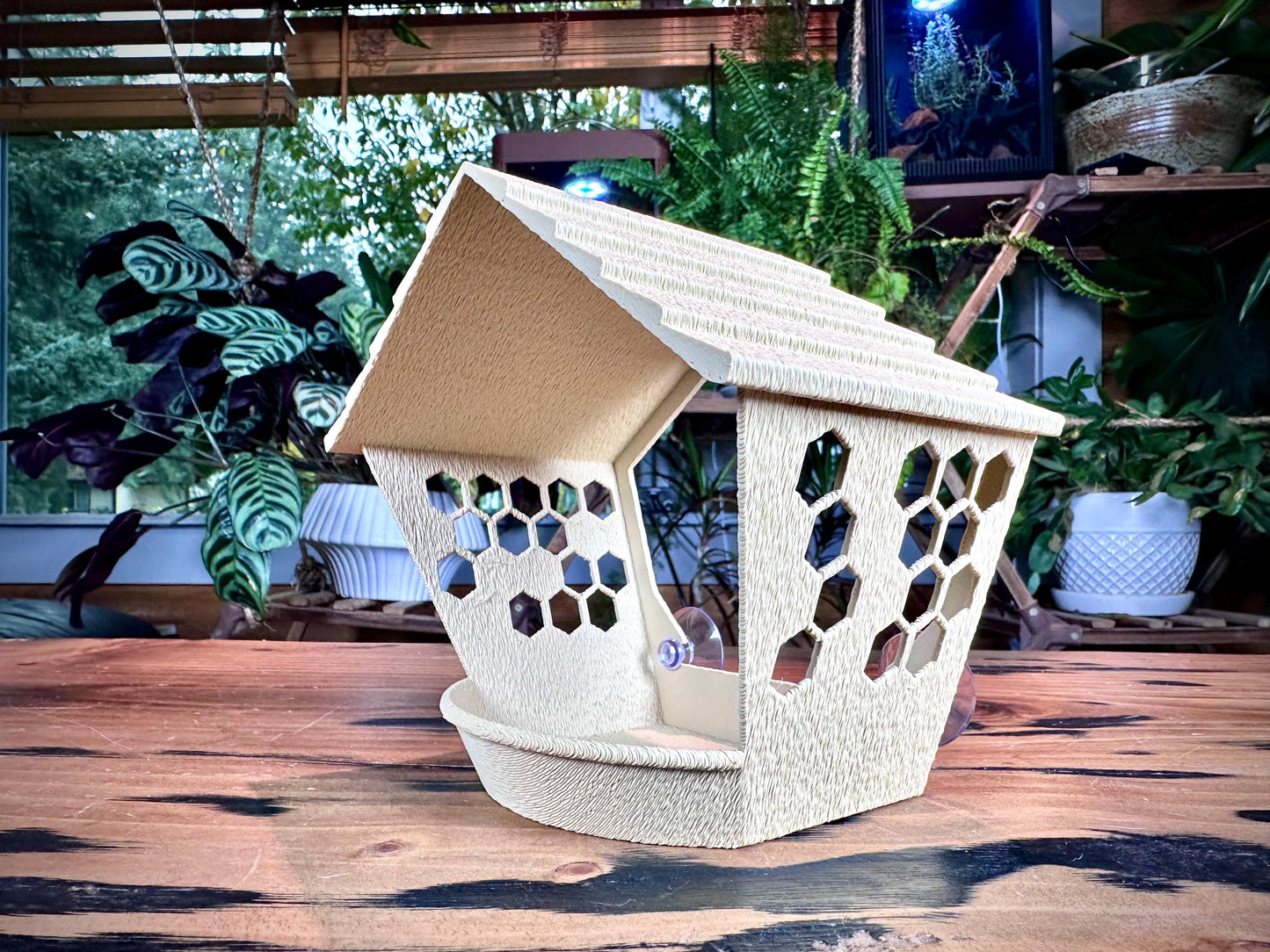 Window Bird Feeder – Bird View | Suction Cup Mount