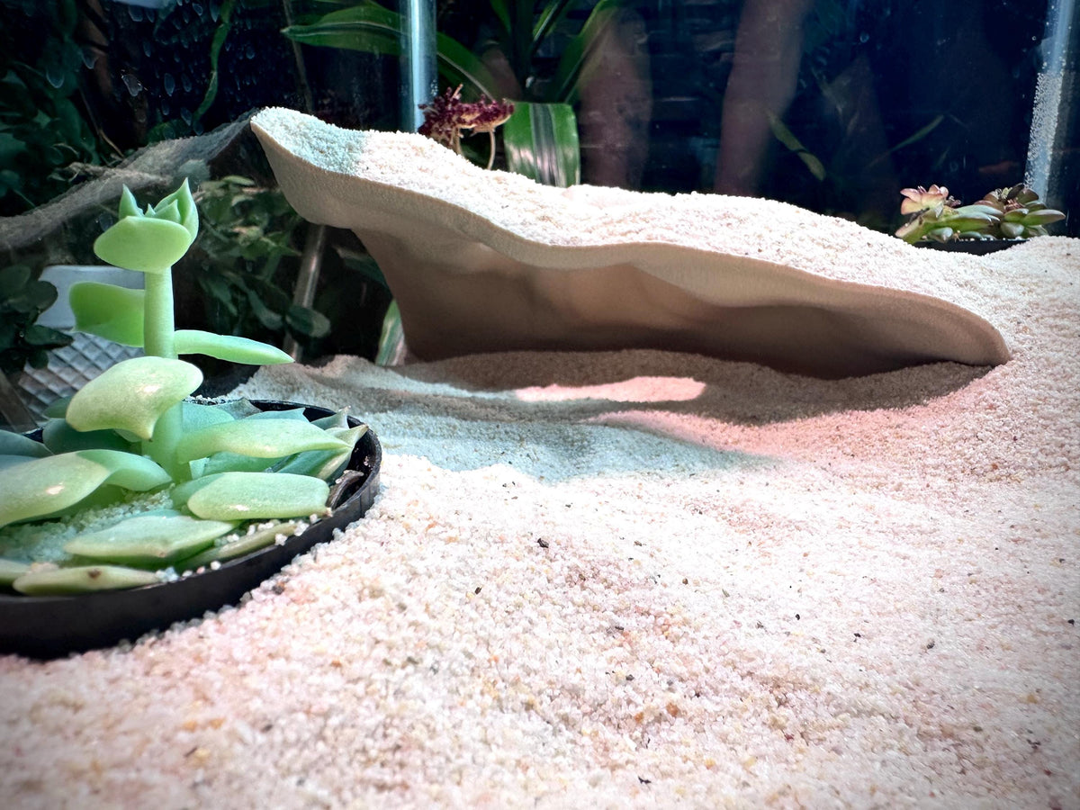 Overhang Hideout – Aquarium & Terrarium Decor