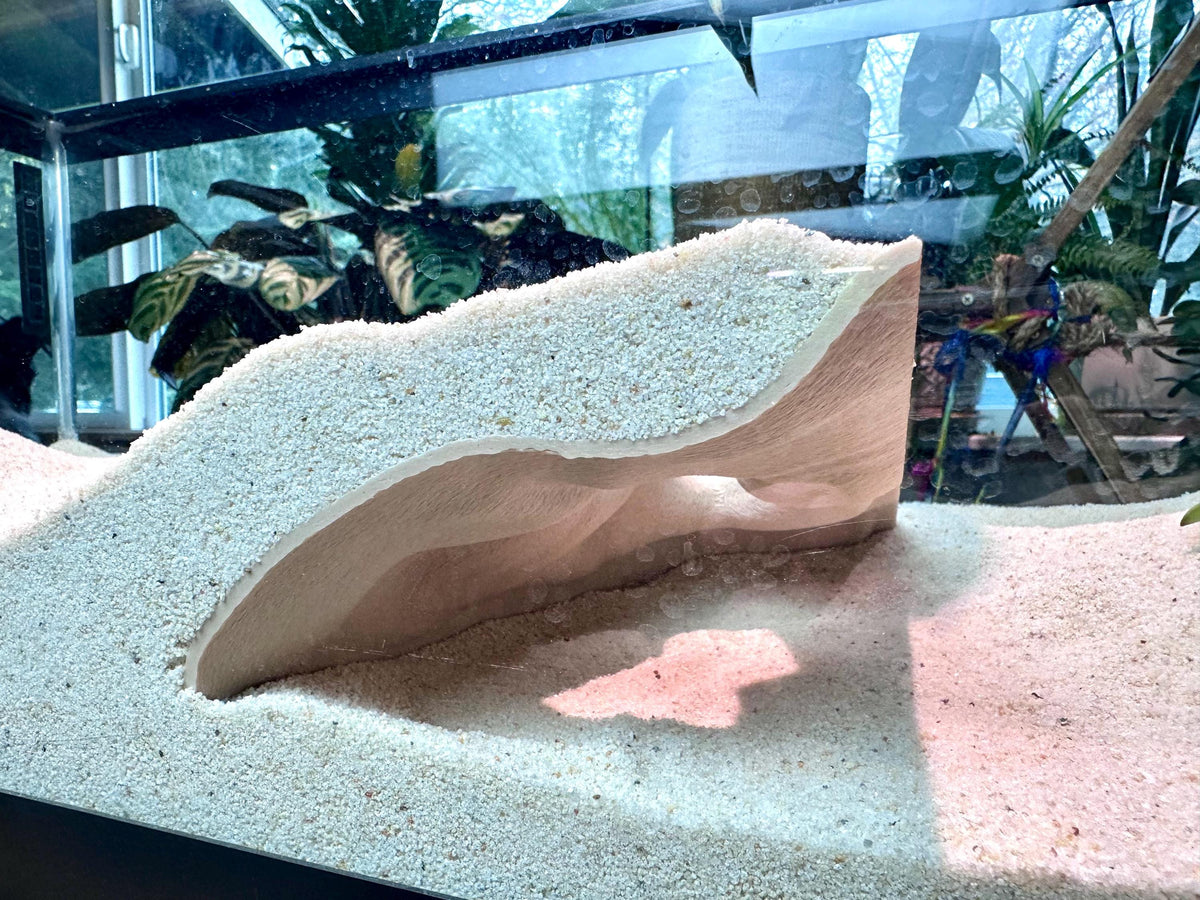 Overhang Hideout – Aquarium & Terrarium Decor