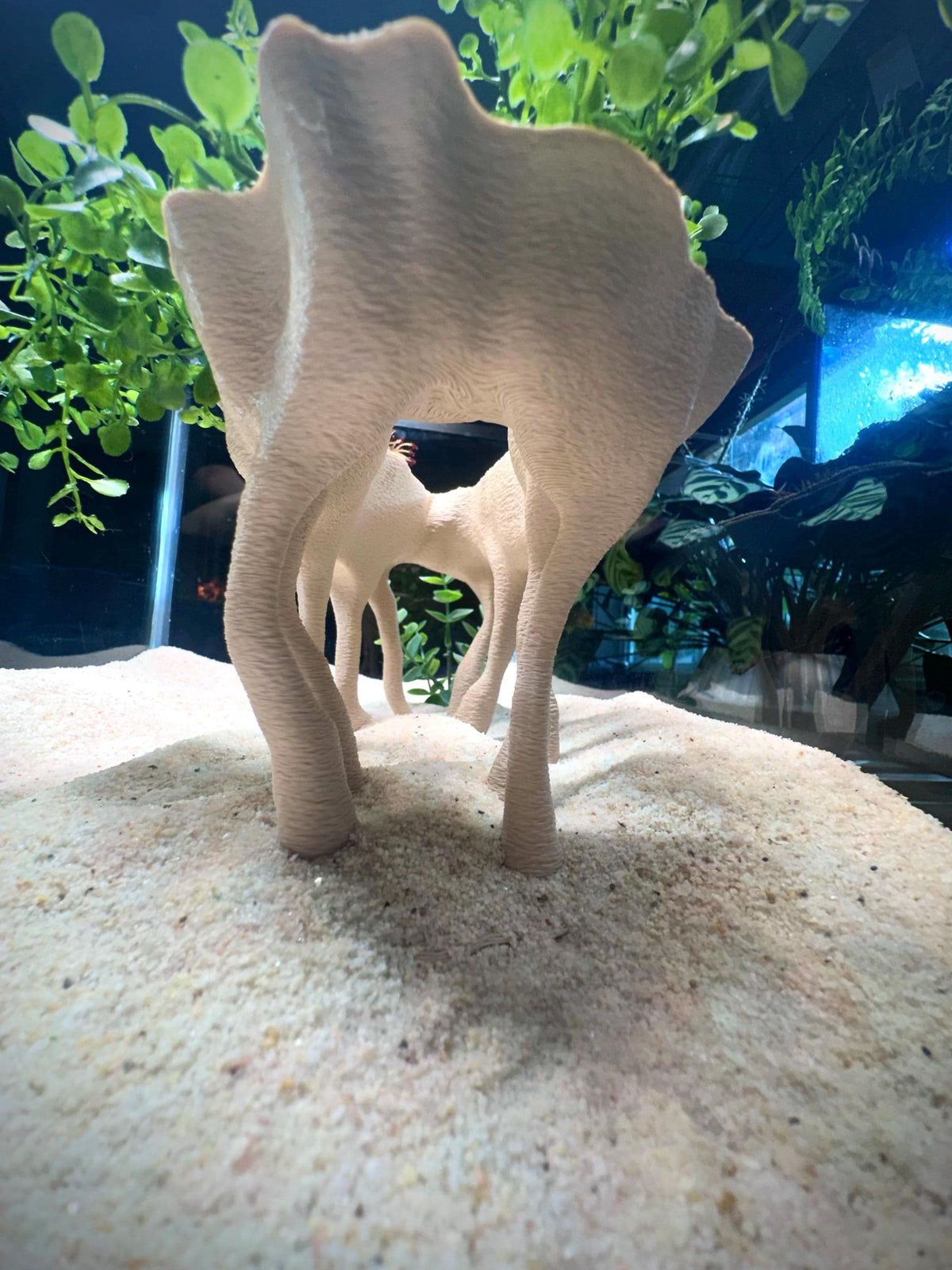Mangrove-Style Raised Roots — a freestanding decor piece with an integrated planter for aquariums and terrariums.
