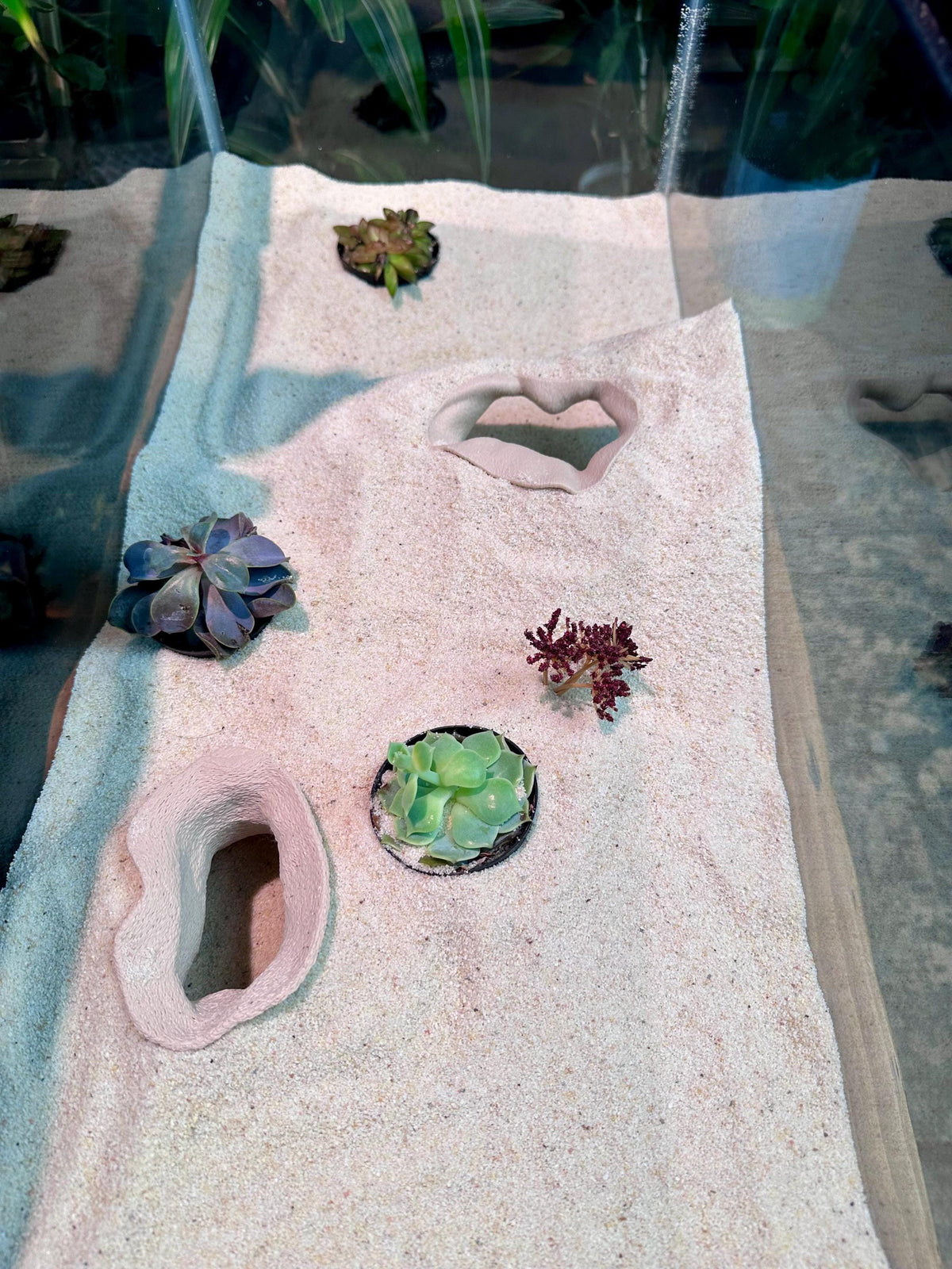 Overhang Hideout – Aquarium & Terrarium Decor