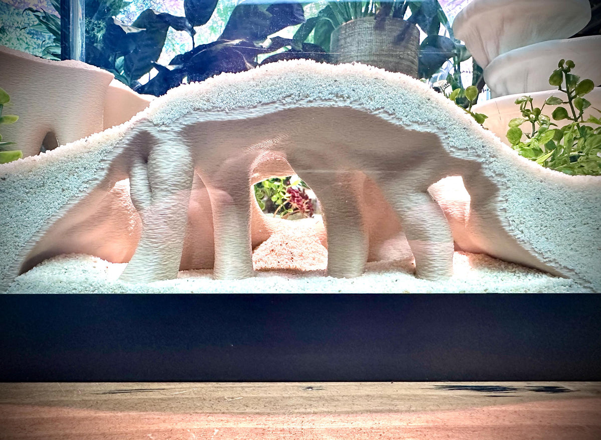 Mangrove Root Hideout – Aquarium & Terrarium Decor