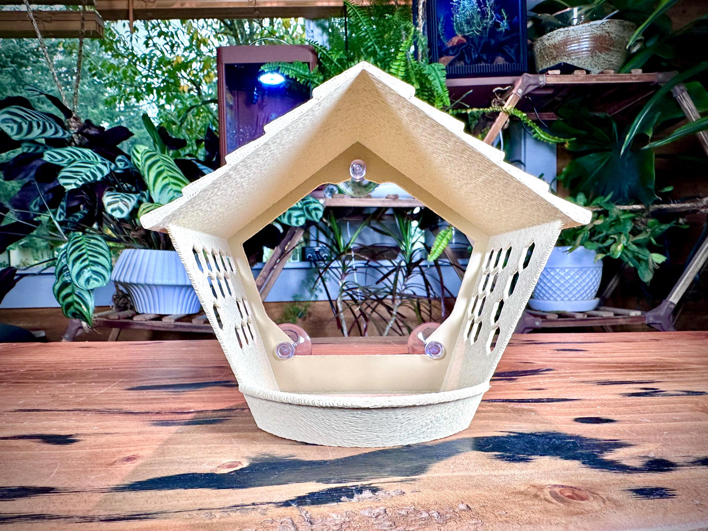 Window Bird Feeder – Bird View | Suction Cup Mount