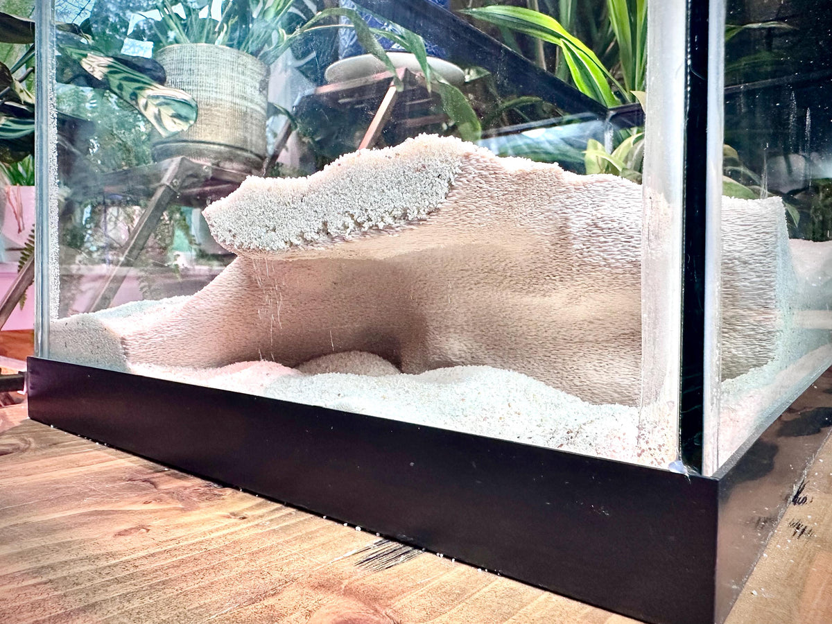 Spacious Corner Aquarium Terrarium Cave – Elevated Hideout for Fish & Reptiles