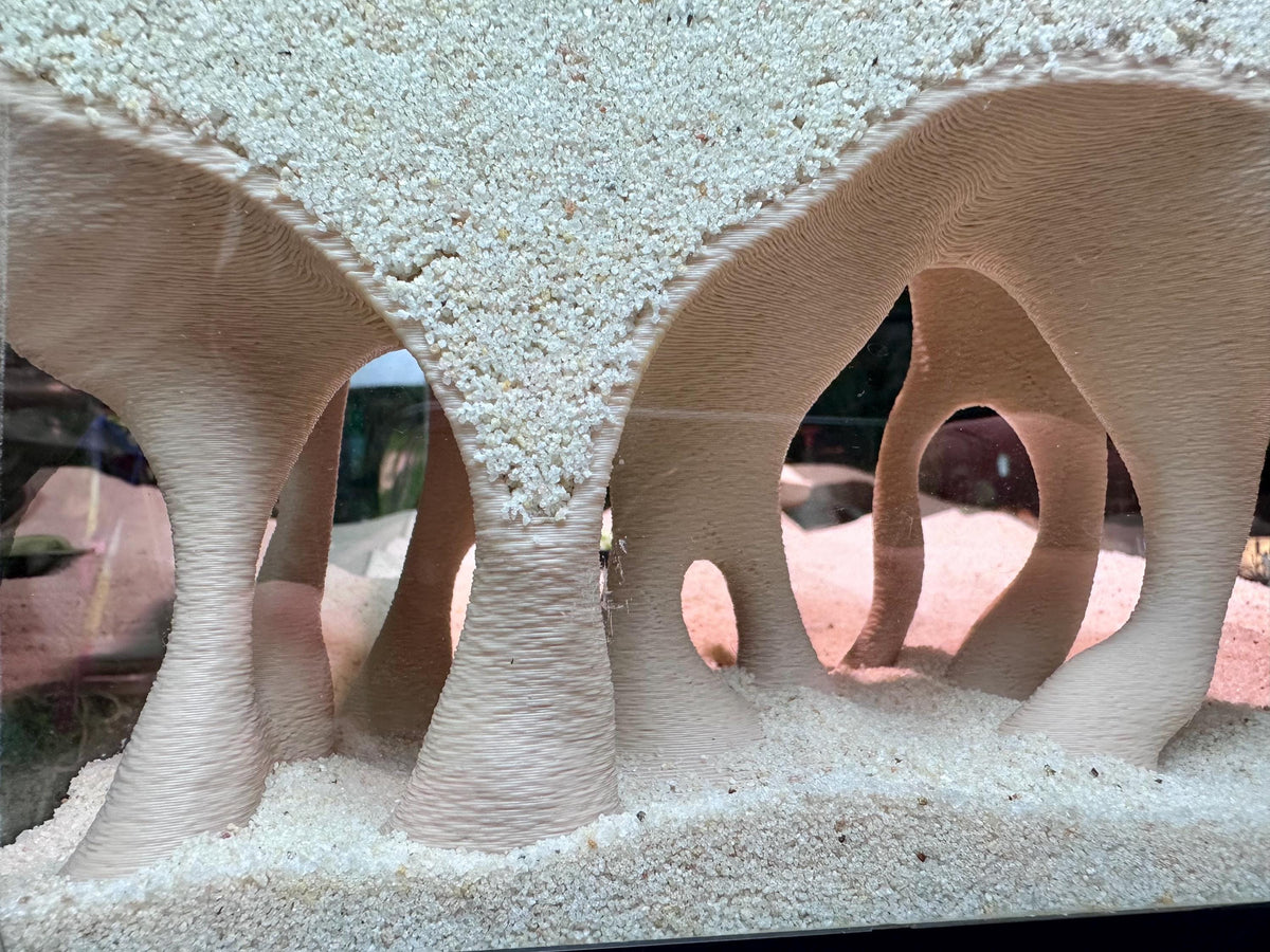 Mangrove-Style Raised Cave Hideout – Aquarium & Terrarium Decor