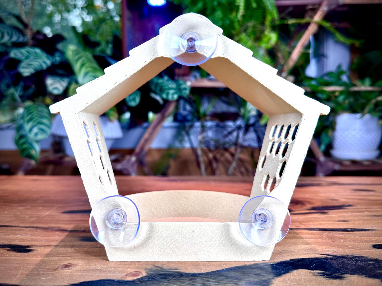 Window Bird Feeder – Bird View | Suction Cup Mount