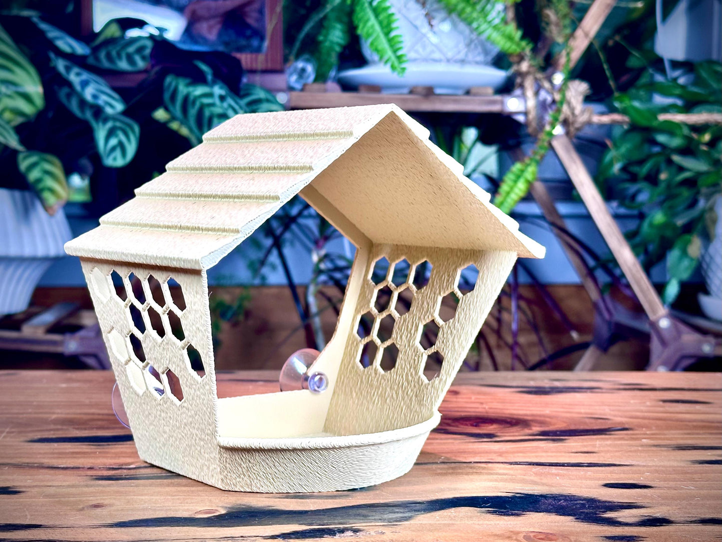 Window Bird Feeder – Bird View | Suction Cup Mount