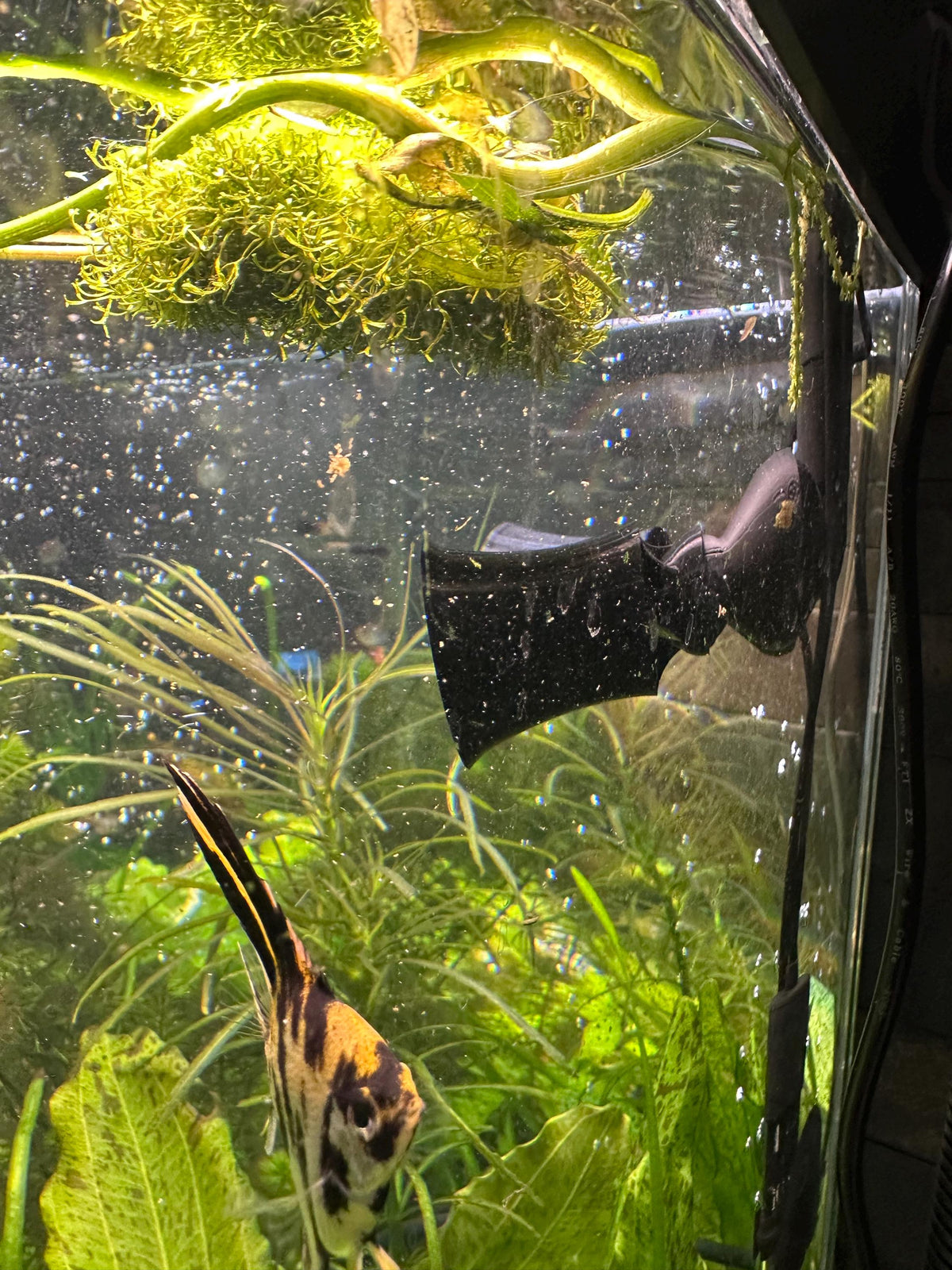 Random Flow Nozzles for Fluval FX2, FX4, FX6 (Set of 2 + Adapters) TPU