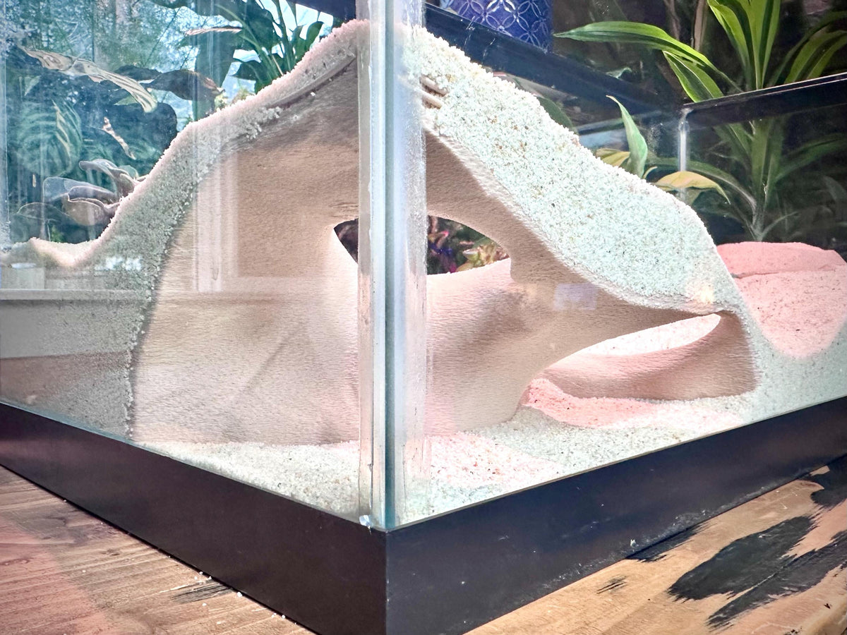 Corner Aquarium  Terrarium Cave Hideout – Decorative Shelter for Fish & Reptiles