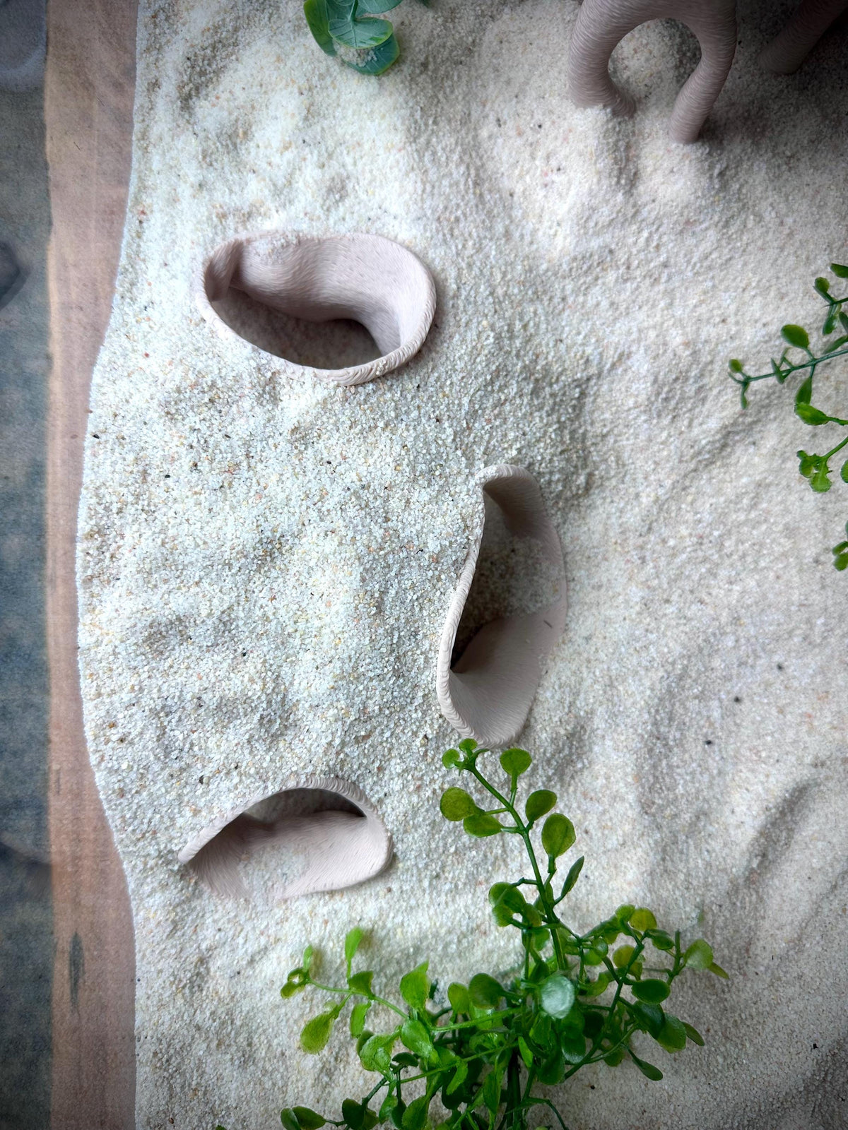 Mangrove Root Hideout – Aquarium & Terrarium Decor