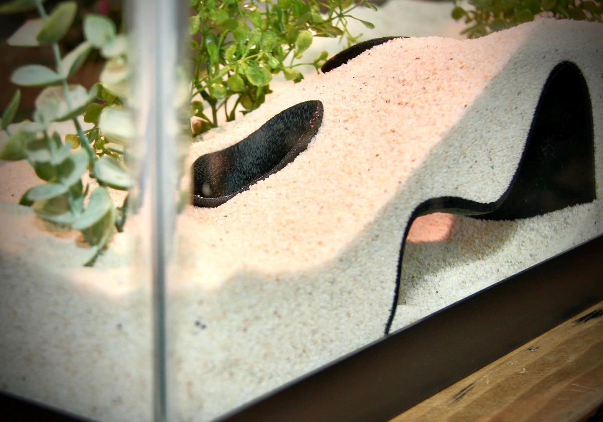 Underground Tunnel Hideout – Aquarium & Terrarium Decor