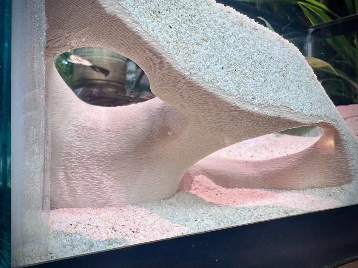 Corner Aquarium  Terrarium Cave Hideout – Decorative Shelter for Fish & Reptiles