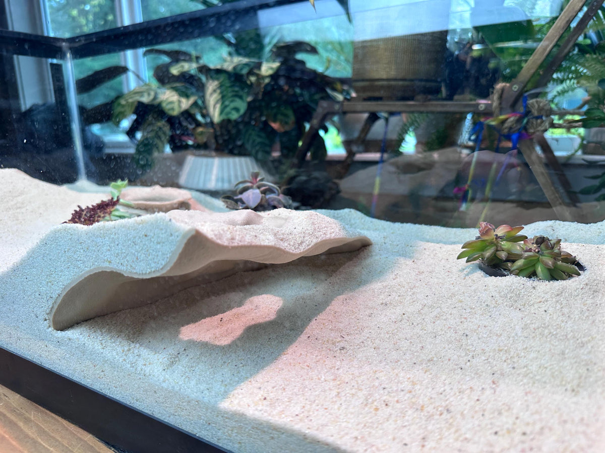 Overhang Hideout – Aquarium & Terrarium Decor
