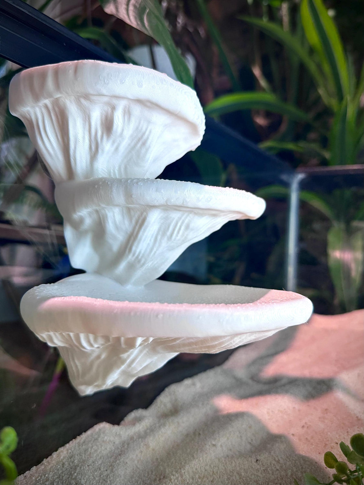 Mushroom Ledge – Terrarium Climbing & Resting Shelf