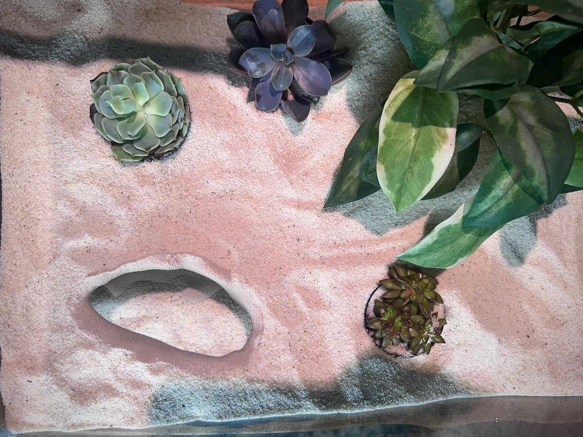 Shellform Corner Cave Hideout  – Decorative Shelter for Fish & Reptiles