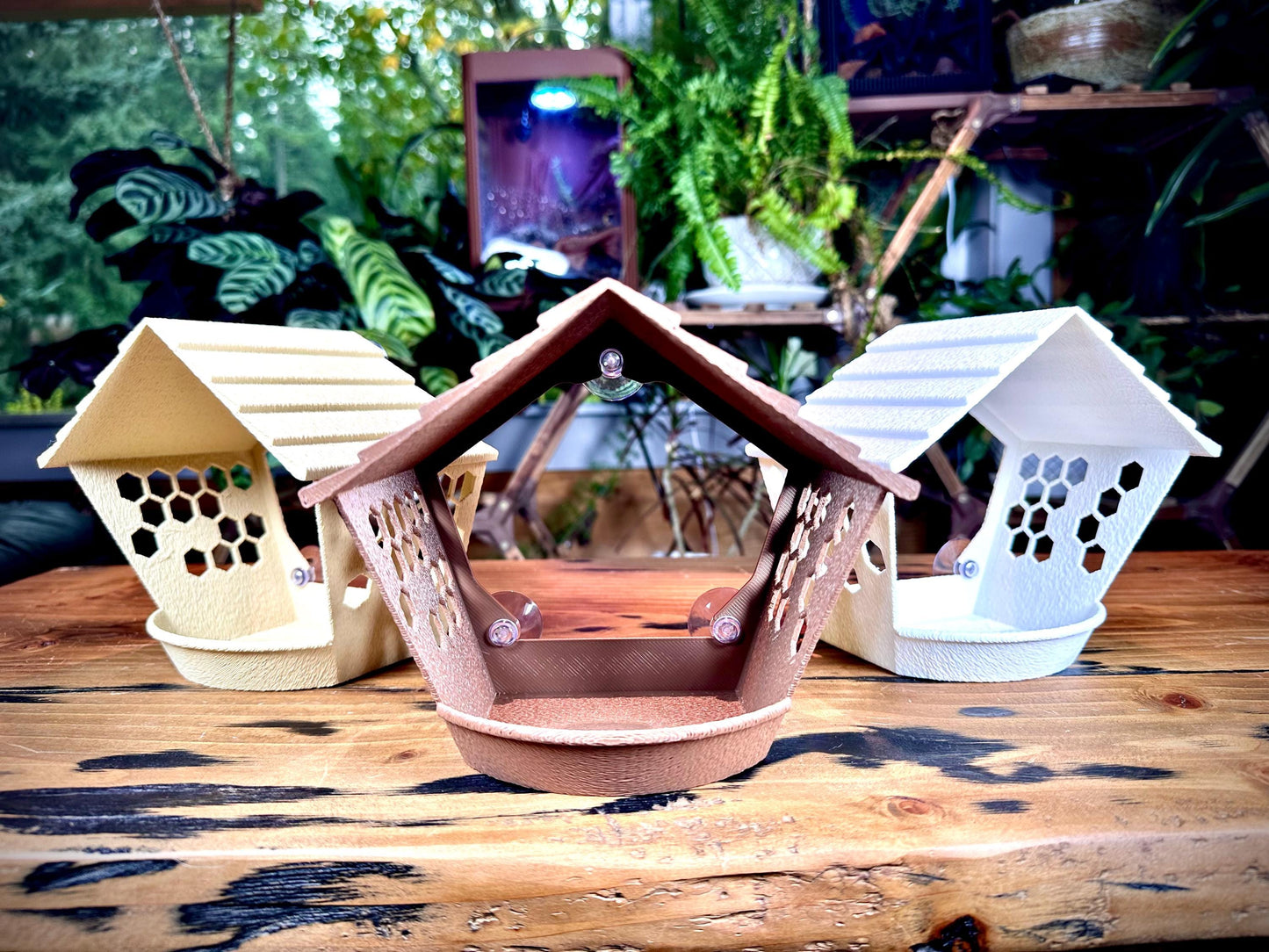 Window Bird Feeder – Bird View | Suction Cup Mount