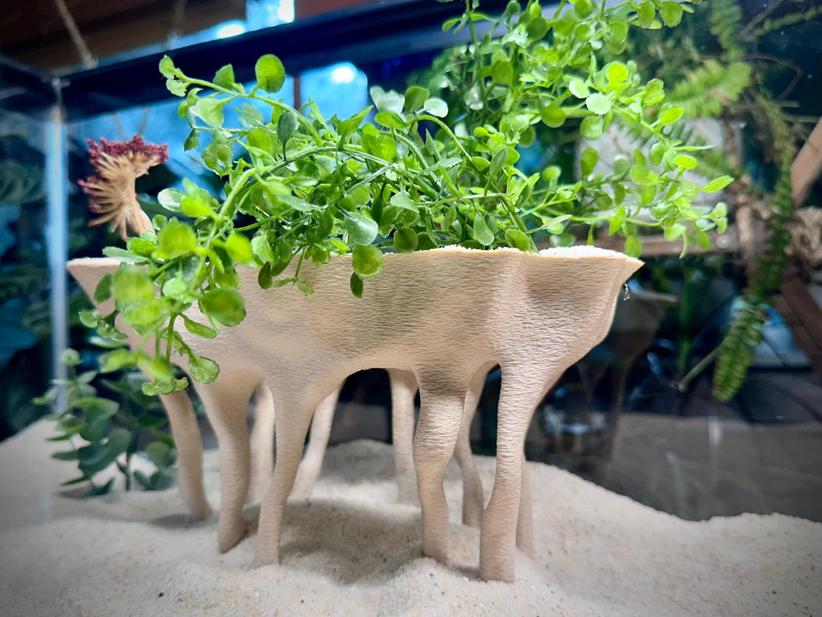Mangrove-Style Raised Roots — a freestanding decor piece with an integrated planter for aquariums and terrariums.