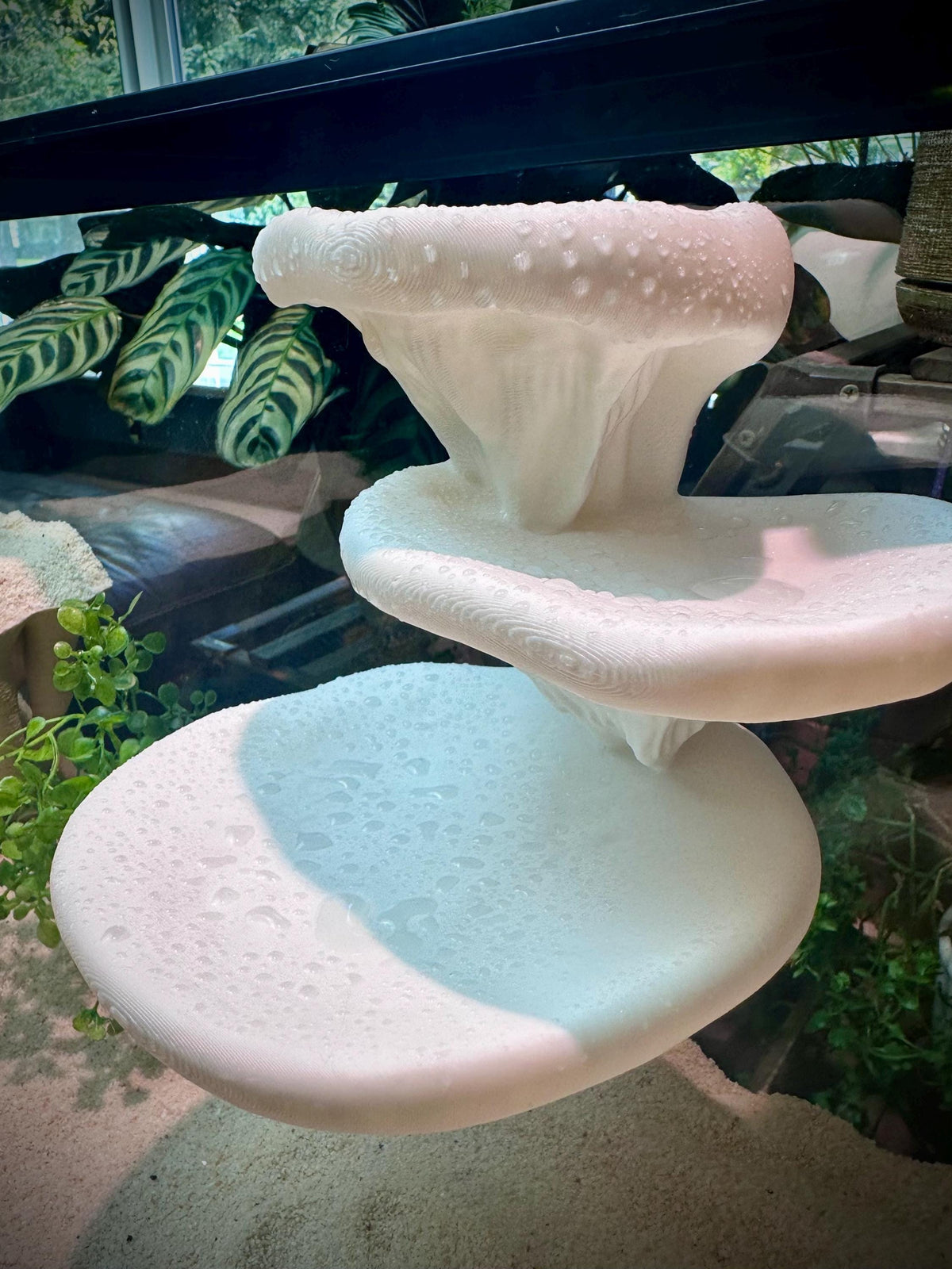 Mushroom Ledge – Terrarium Climbing & Resting Shelf
