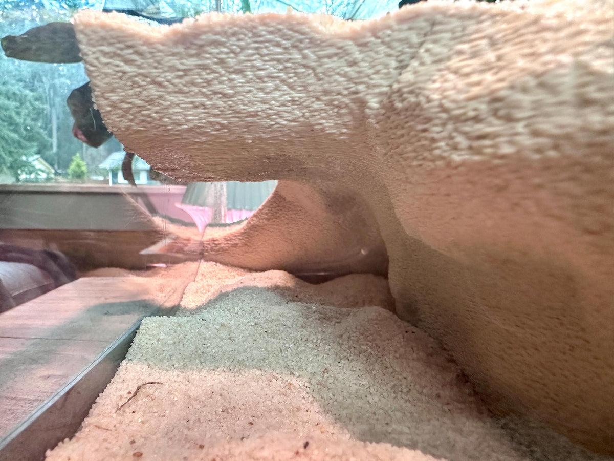Spacious Corner Aquarium Terrarium Cave – Elevated Hideout for Fish & Reptiles