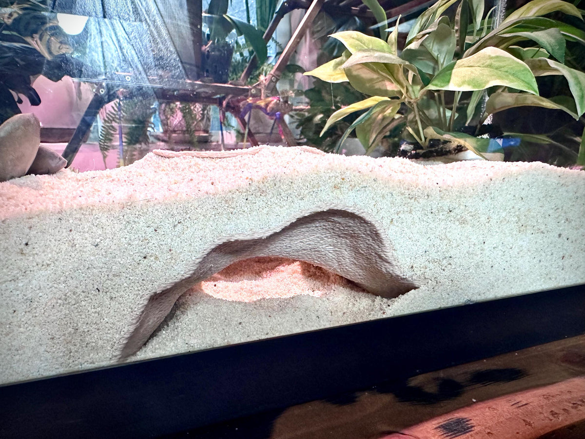Aquarium  Terrarium Cave Hideout – Decorative Shelter for Fish & Reptiles