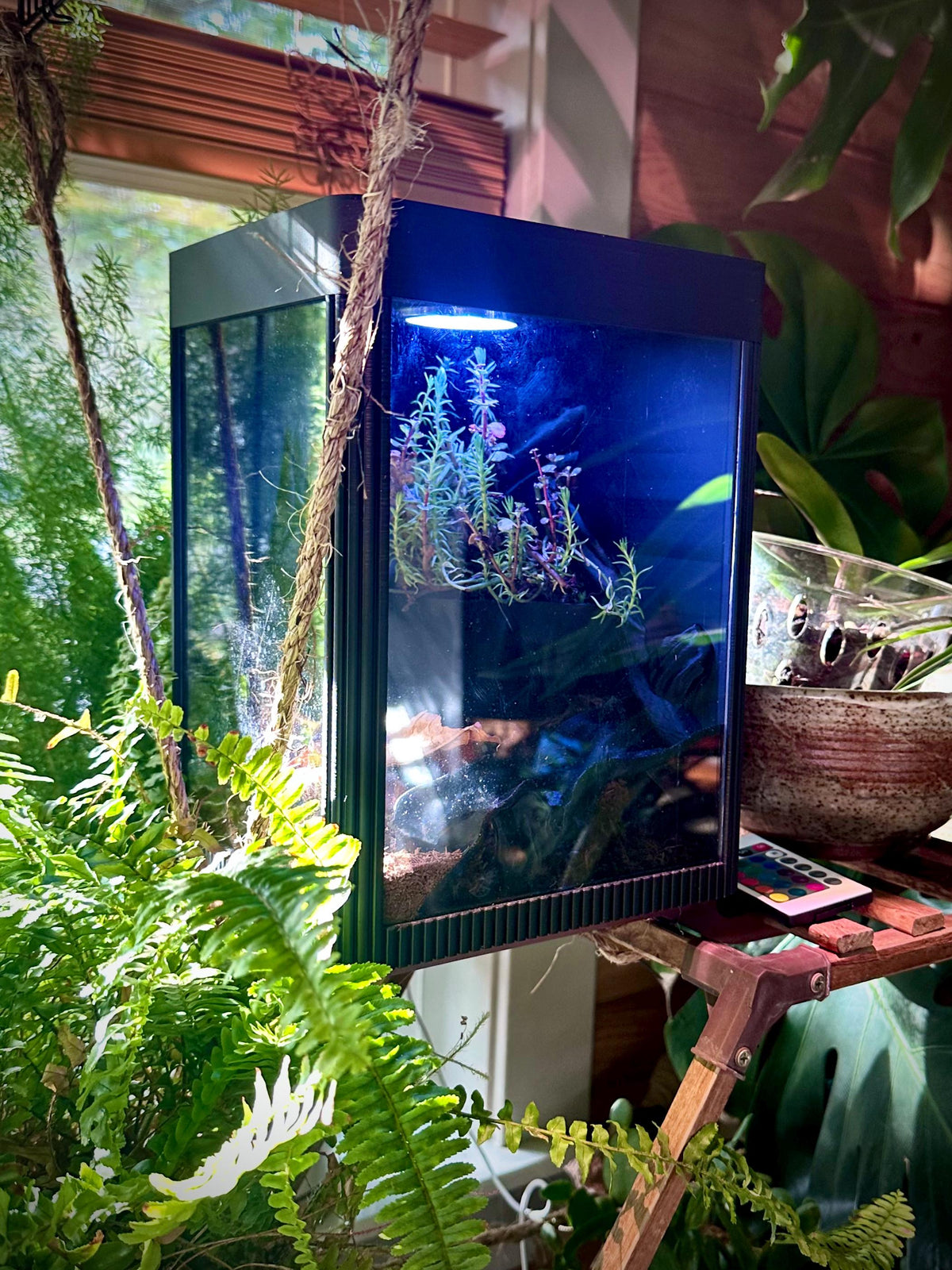 Nano Terrarium  Vivarium – All-in-One Micro Habitat with Built-In Sprayer & Light