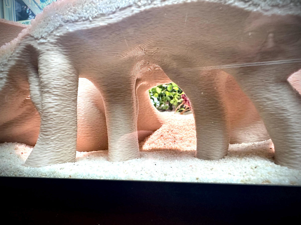 Mangrove Root Hideout – Aquarium & Terrarium Decor