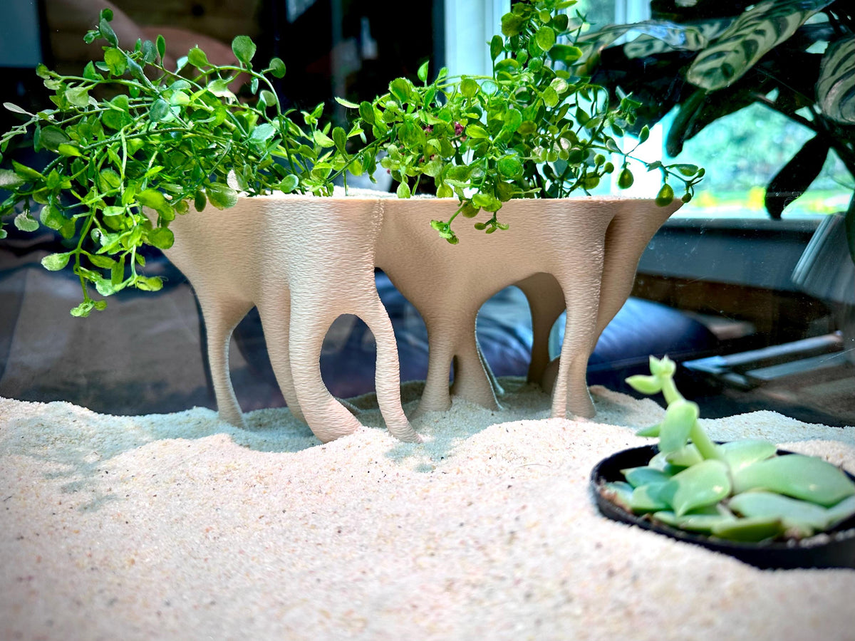 Mangrove-Style Raised Cave Hideout – Aquarium & Terrarium Decor